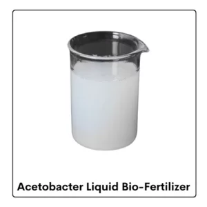 Acetobacter Liquid