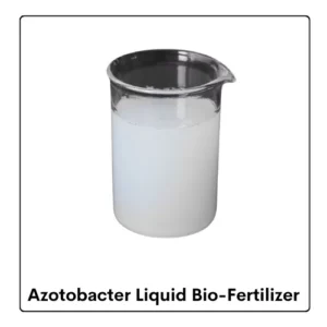 Azotobacter Liquid