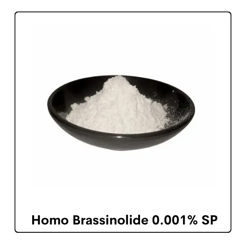 Homo Brassinolide 0.001% SP