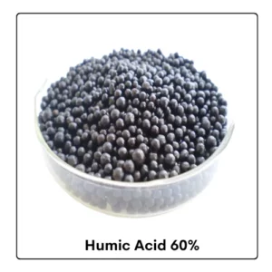 Humic Acid 60%