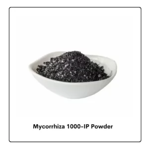 Mycorrhiza 1000