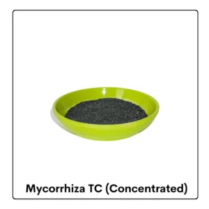 Mycorrhiza TC