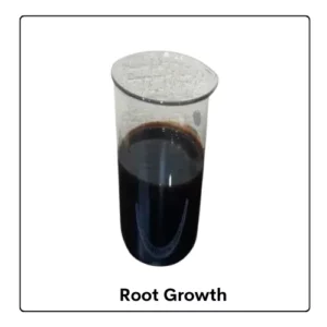 Root Growth