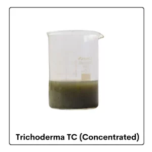 Trichoderma TC