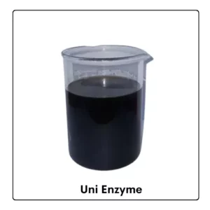 Uni Enzyme